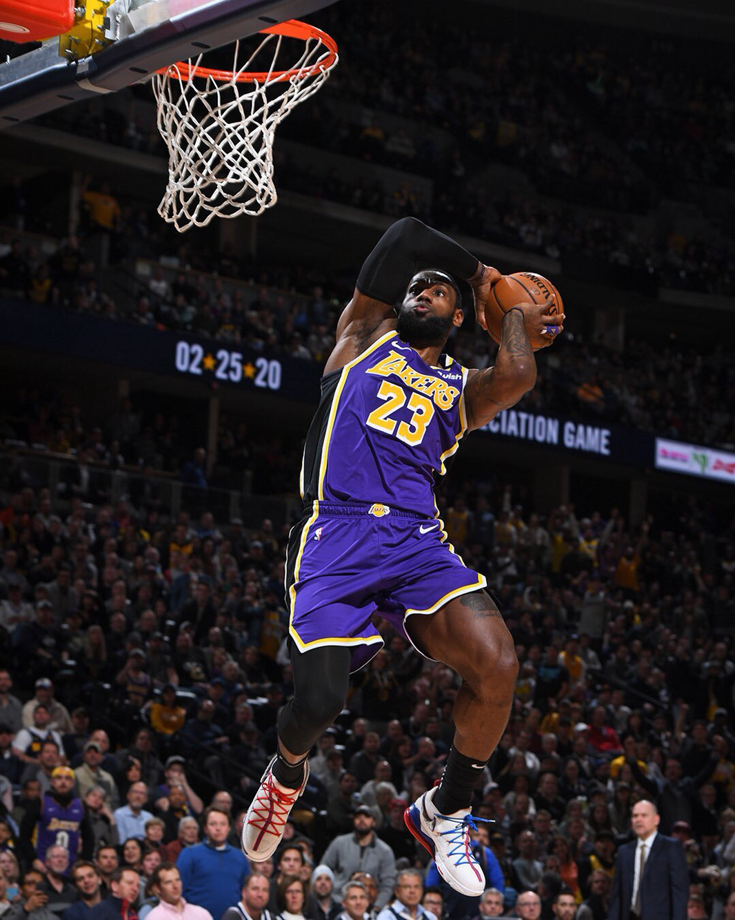 延寿曲线 延寿曲线