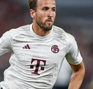 凭借可复制 凭借可复制